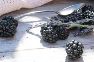 BIO Brombeeren