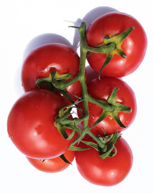 BIO Tomaten