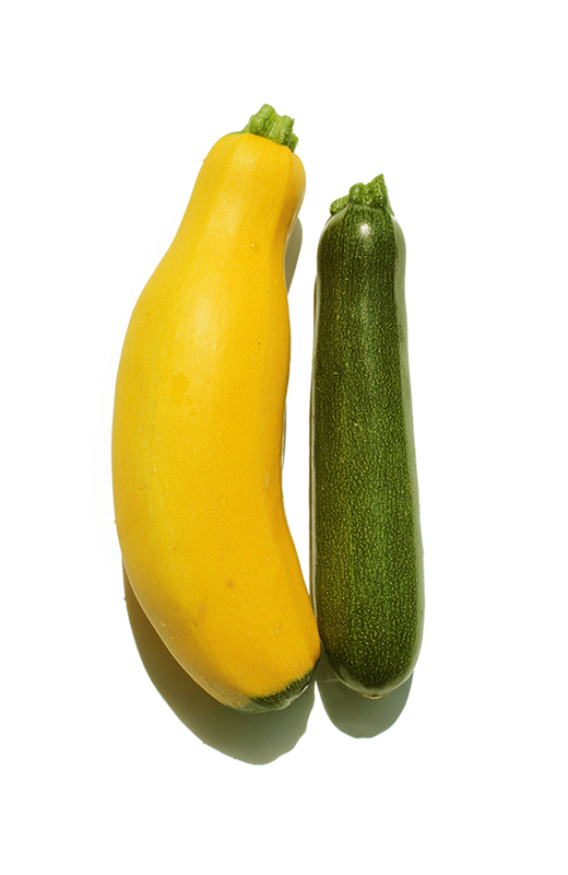 BIO Zucchini